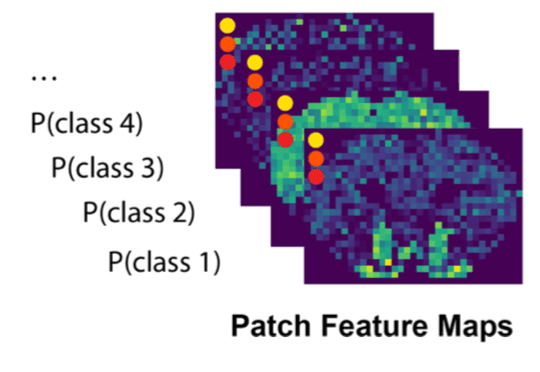 A convolutional neural network for common coordinate registration of high-resolution histology images