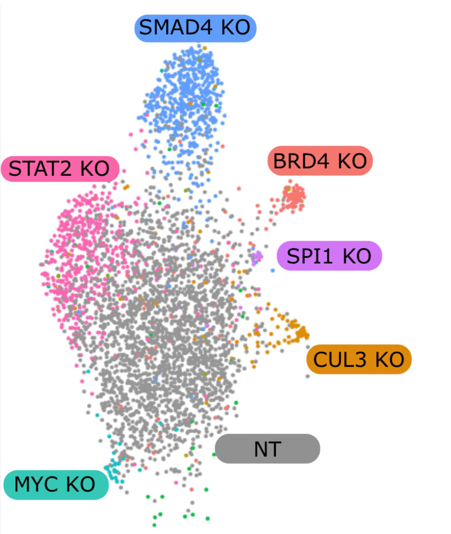 Characterizing the molecular regulation of inhibitory immune checkpoints with multi-modal single-cell screens