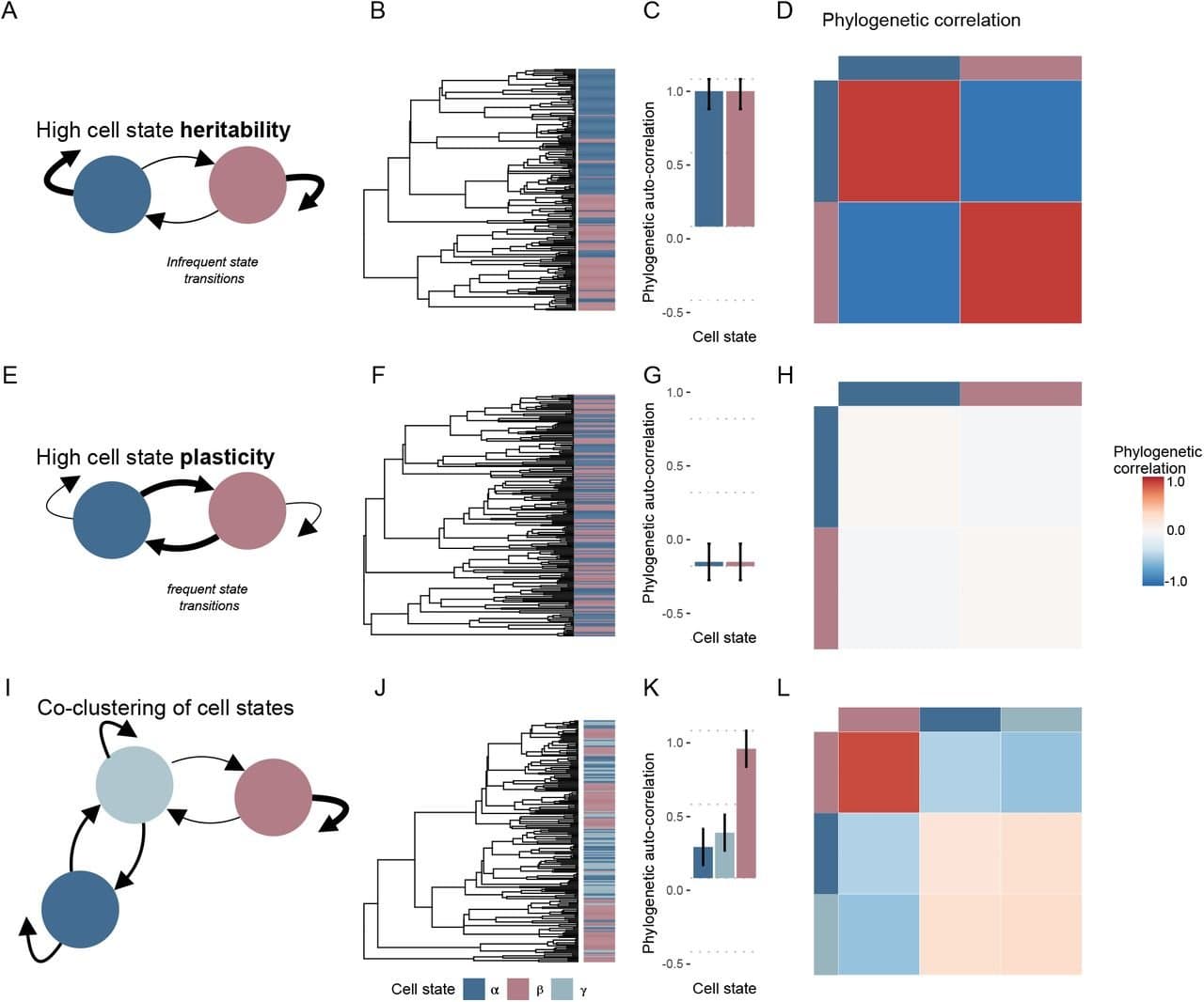 Defining ancestry, heritability and plasticity of cellular phenotypes in somatic evolution