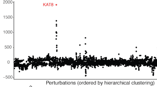 Mapping transcriptional responses to cellular perturbation dictionaries with RNA fingerprinting