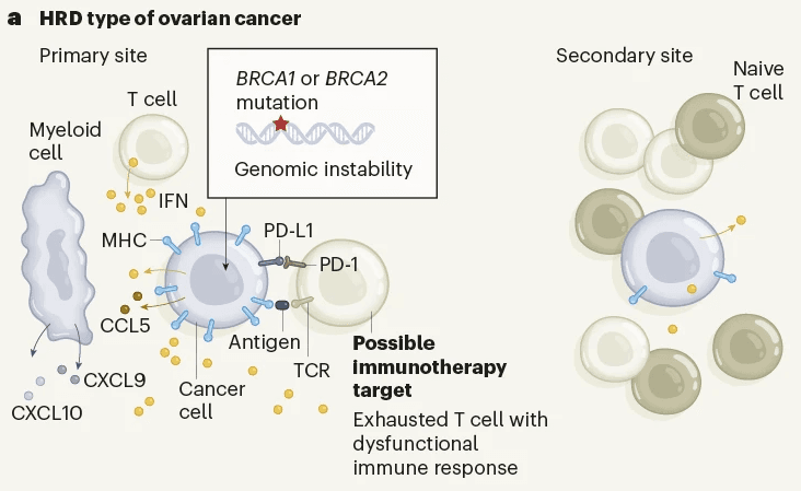 Ovarian cancer mutational processes drive site-specific immune evasion