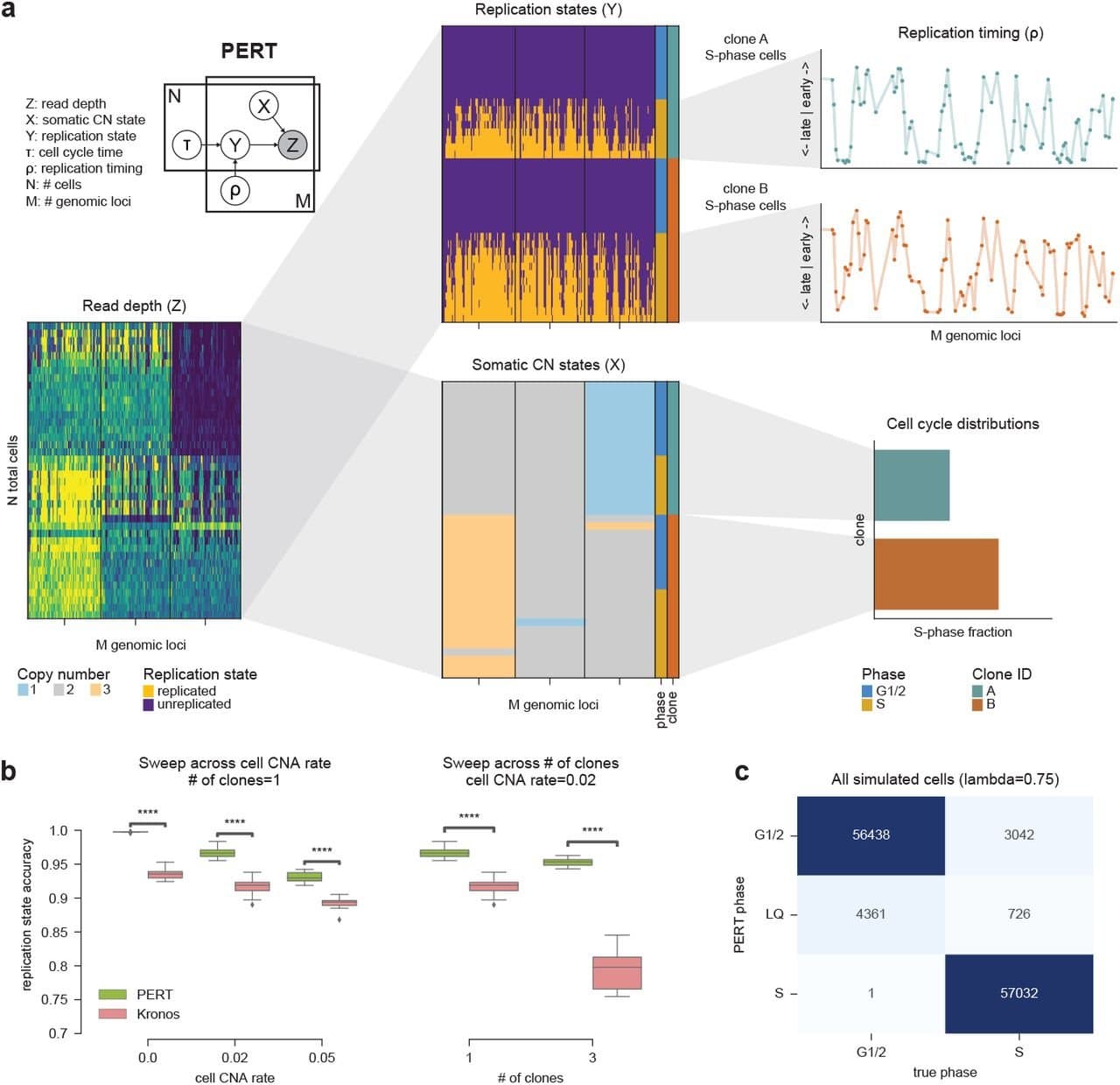 Single-cell DNA replication dynamics in genomically unstable cancers